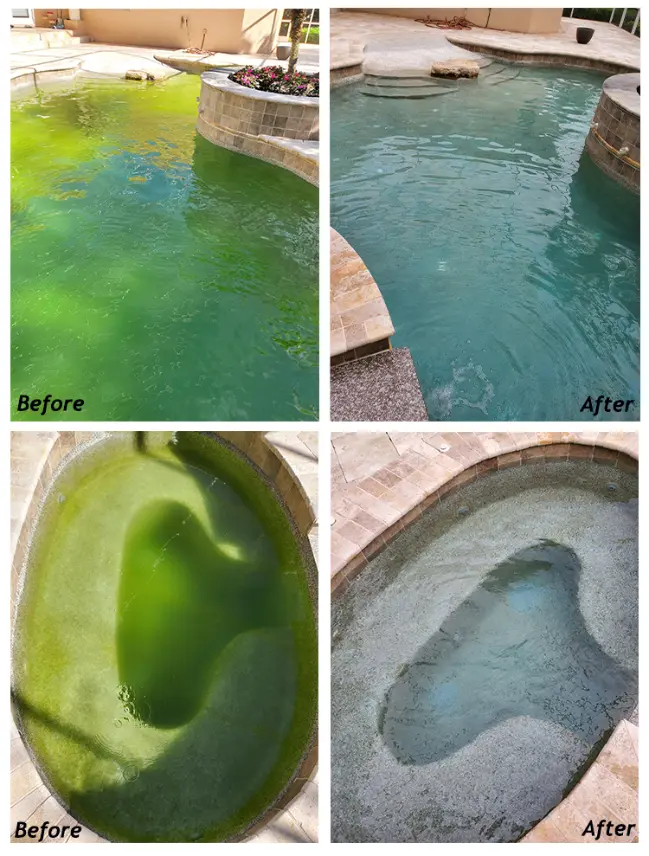 Pool Cleaning Service Provider Pool Cleaning Service Provider